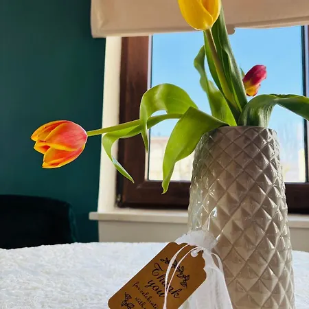 The Corner Is A Small, Sunny And Cozy *